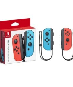 Nintendo Switch Joy Controller